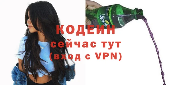 мдпв Заводоуковск