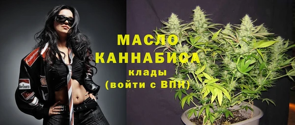 мдпв Заводоуковск