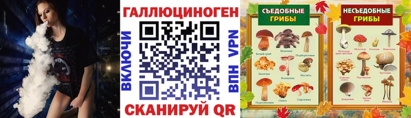Псилоцибиновые грибы мухоморы  Купить  Куртамыш 