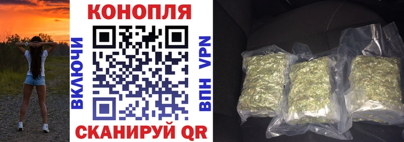 Бошки марихуана семена  Купить где  Куртамыш 